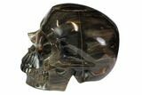 Realistic, Carved Petrified Wood Skull #116517-4